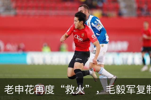 老申花再度“救火”，毛毅军复制5年前的轨迹？